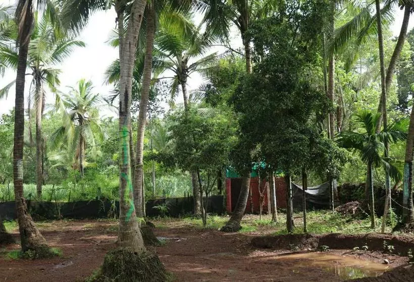 ベッドアンドブレックファースト 4bhk Private Farm House For Budget Group Stay