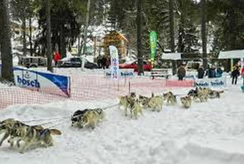 膳宿费 Betty Panzio