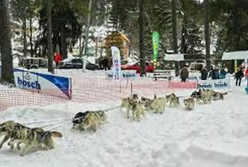 Majatalo Betty Panzio