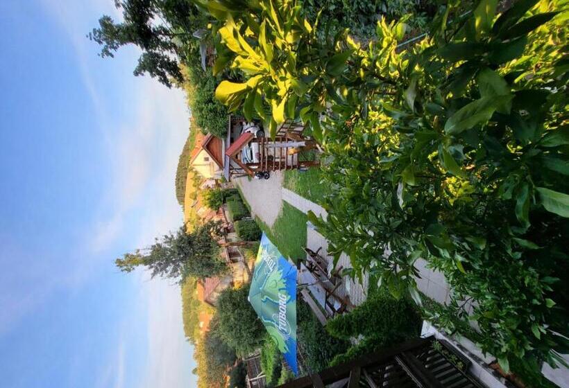 膳宿费 Betty Panzio