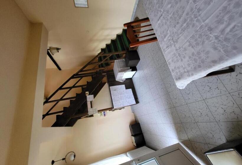 膳宿费 Betty Panzio