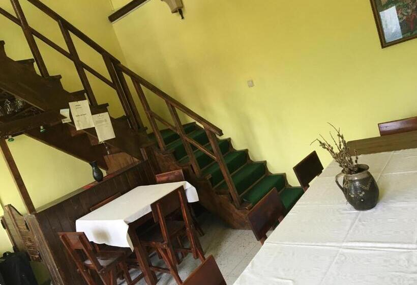 膳宿费 Betty Panzio