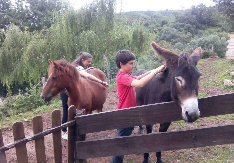 Casa Rural Haitzetxea