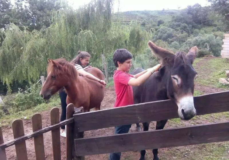 Casa Rural Haitzetxea
