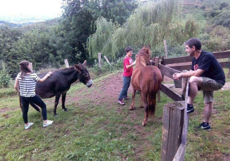 Casa Rural Haitzetxea