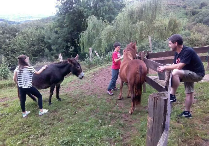 Casa Rural Haitzetxea