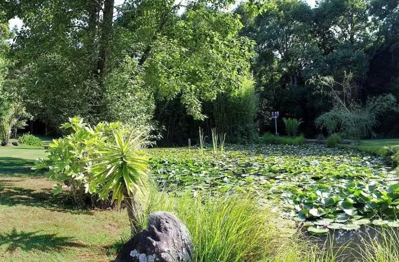 هتل Bushland Park Lodge And Retreat