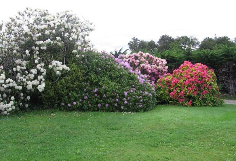 فندق Murrells Grand View House