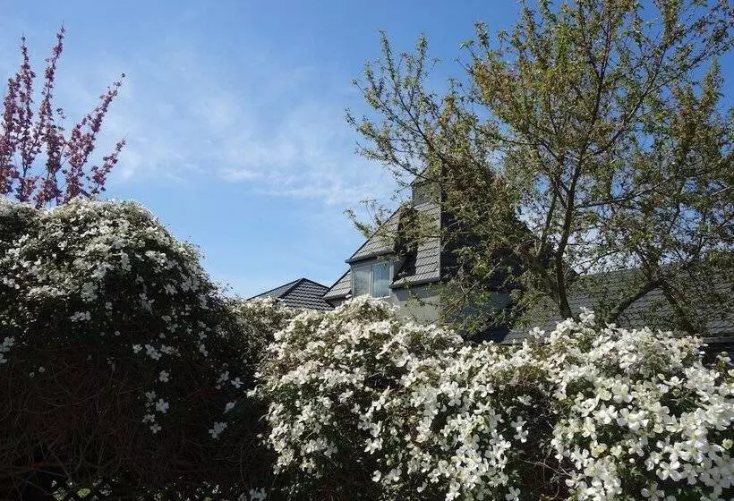 هتل Northwood Motor Lodge