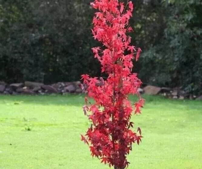 교외 호텔 Rural Iribarnia