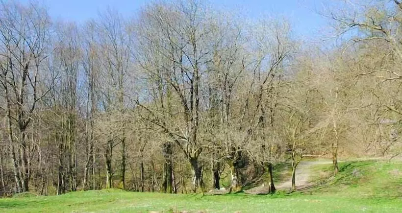 교외 호텔 Rural Iribarnia