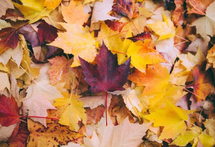 هتل Schroeders City Style