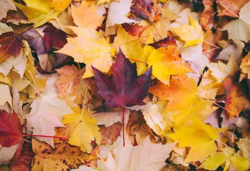 هتل Schroeders City Style