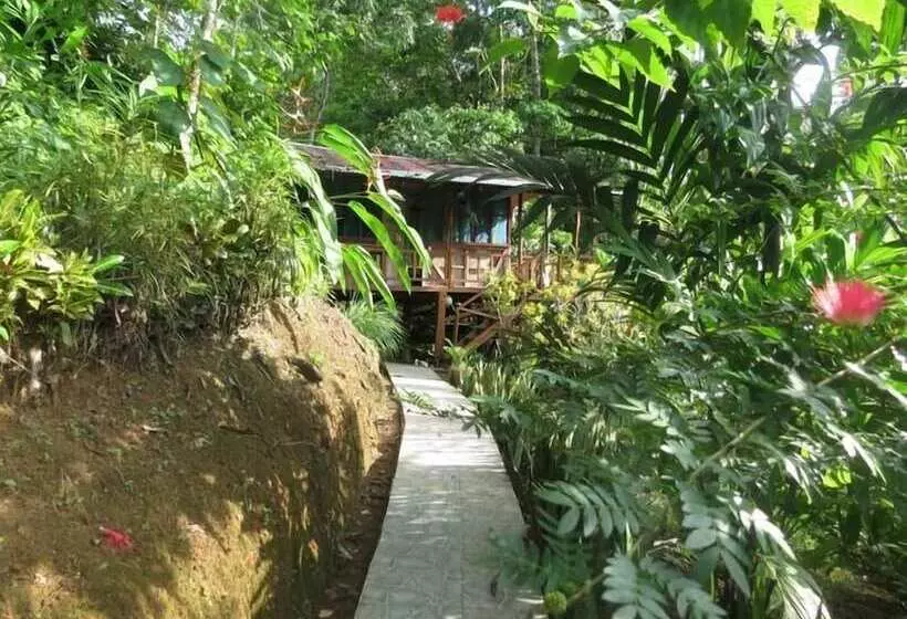 ホテル Bromelias Corcovado Apartments