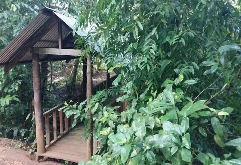 ホテル Bromelias Corcovado Apartments