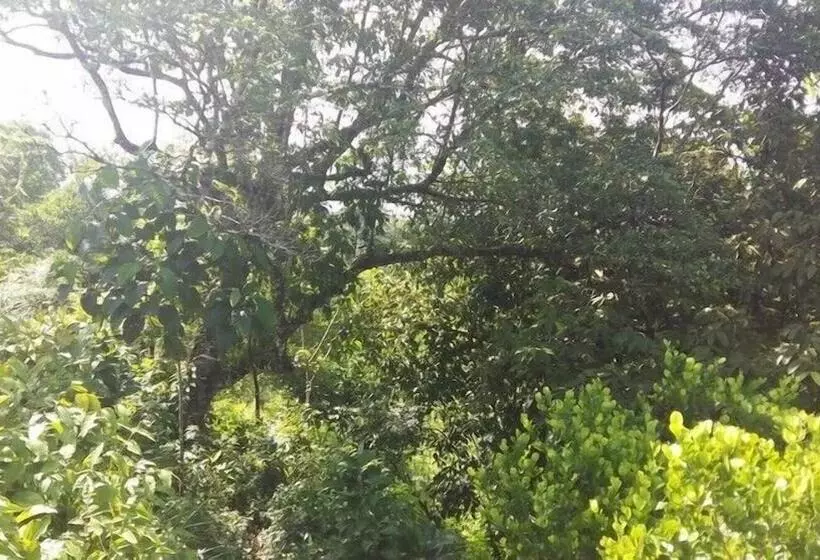 ホテル Bromelias Corcovado Apartments