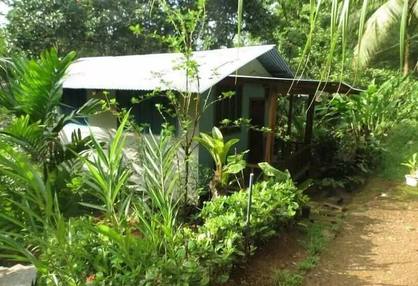ホテル Bromelias Corcovado Apartments