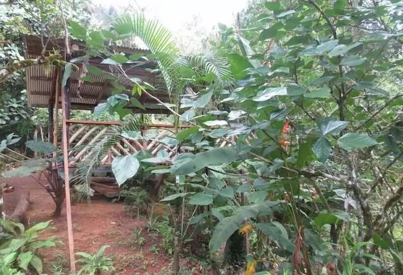 ホテル Bromelias Corcovado Apartments