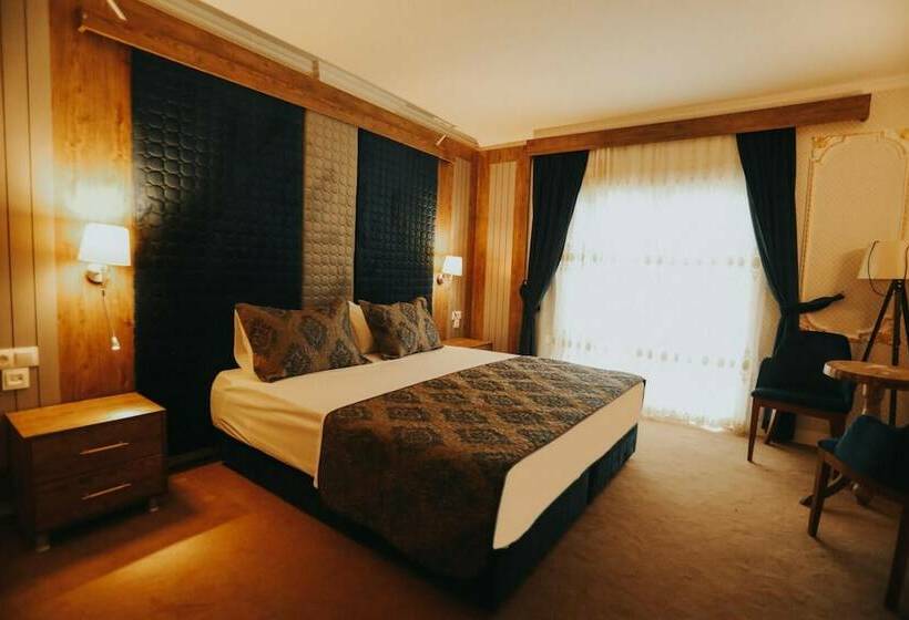 Отель Ege Palace