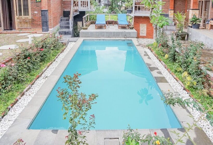 بنسيون Getsemani Guesthouse