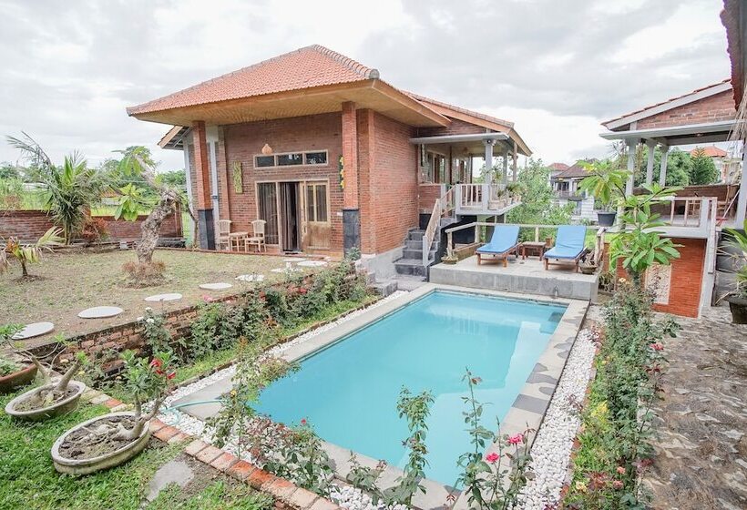 بنسيون Getsemani Guesthouse