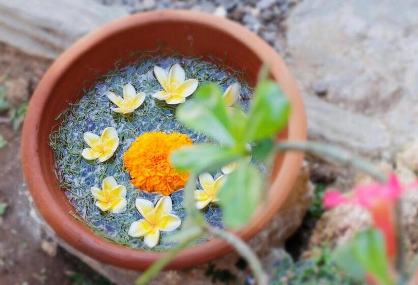 膳宿费 The Tamban Jukung