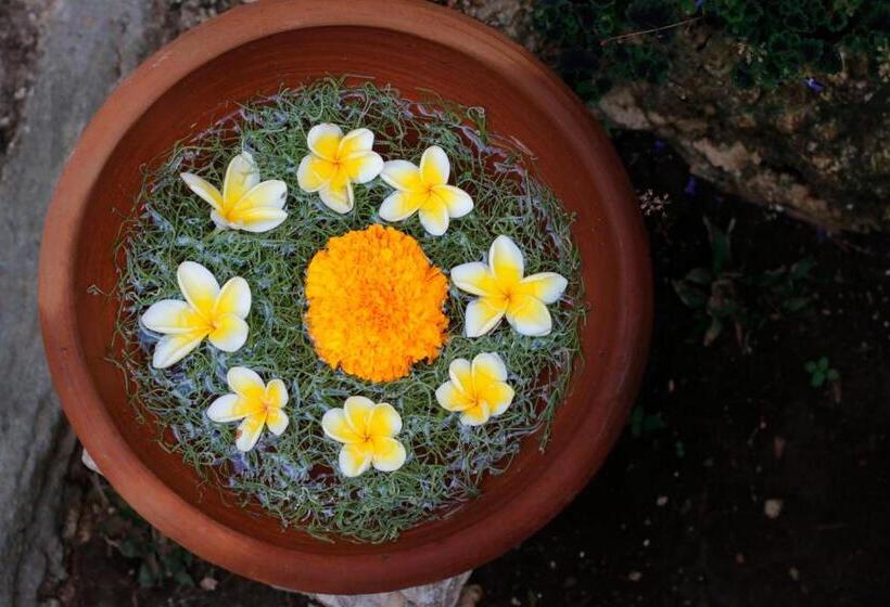 膳宿费 The Tamban Jukung