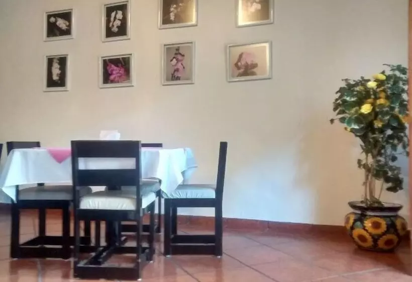 Hotelli Juárez Del Centro