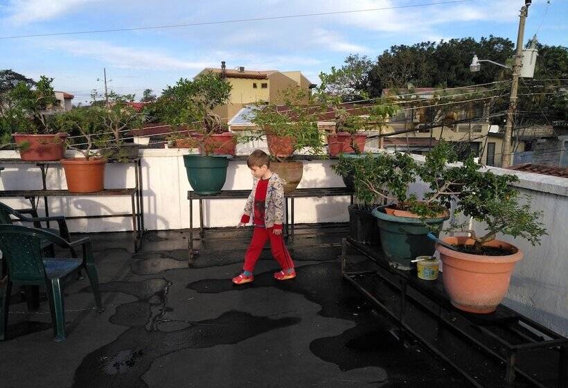 Hôtel Mi Tierra Casa Blanca