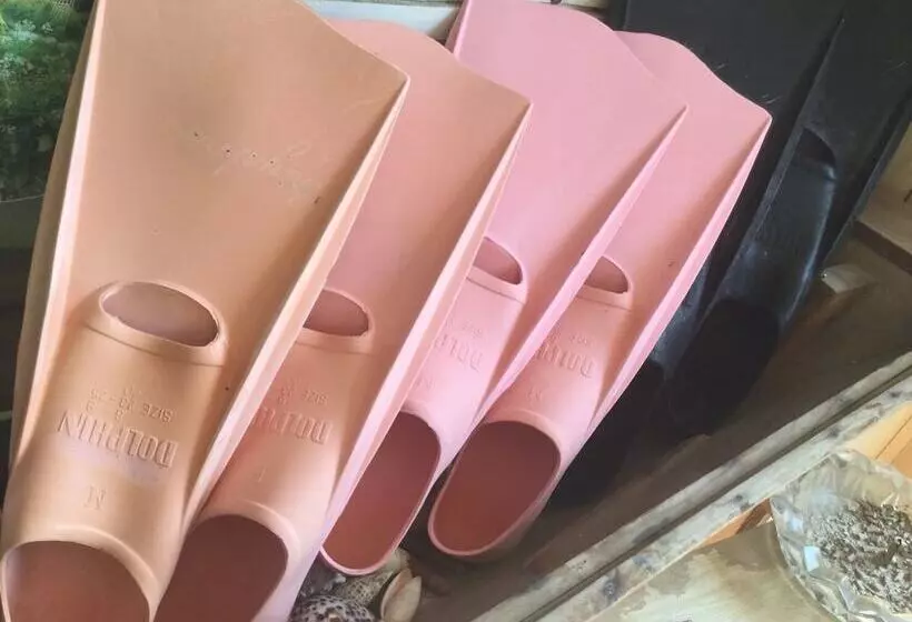 ペンション Homestay Kucha