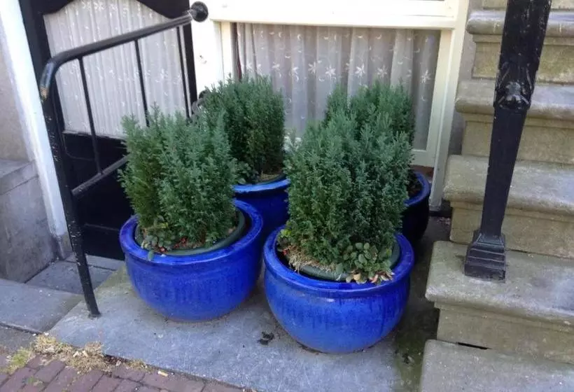 Bed and Breakfast Truelove Guesthouse