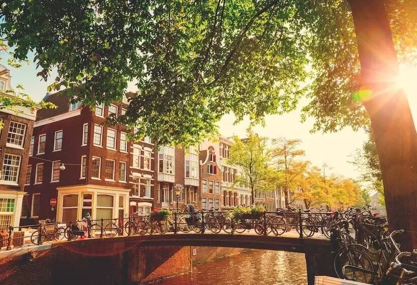 Alberg The Flying Pig Uptown