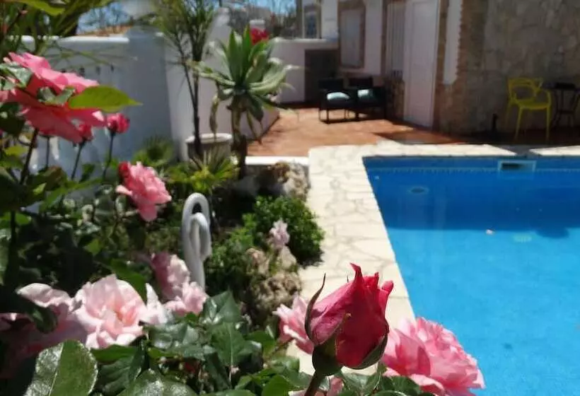 Hostal La Paloma Ii Hotel Calpe Grupo