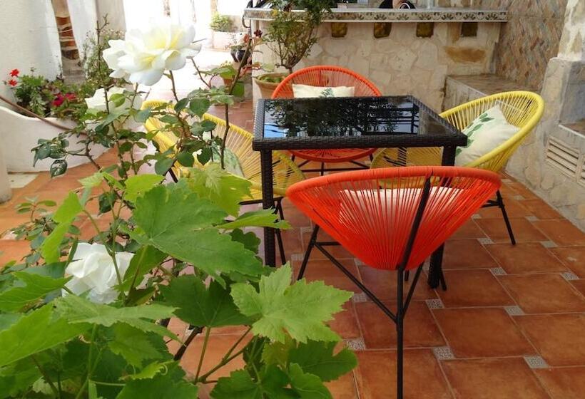 Hostal La Paloma Ii   Hotel Calpe Grupo