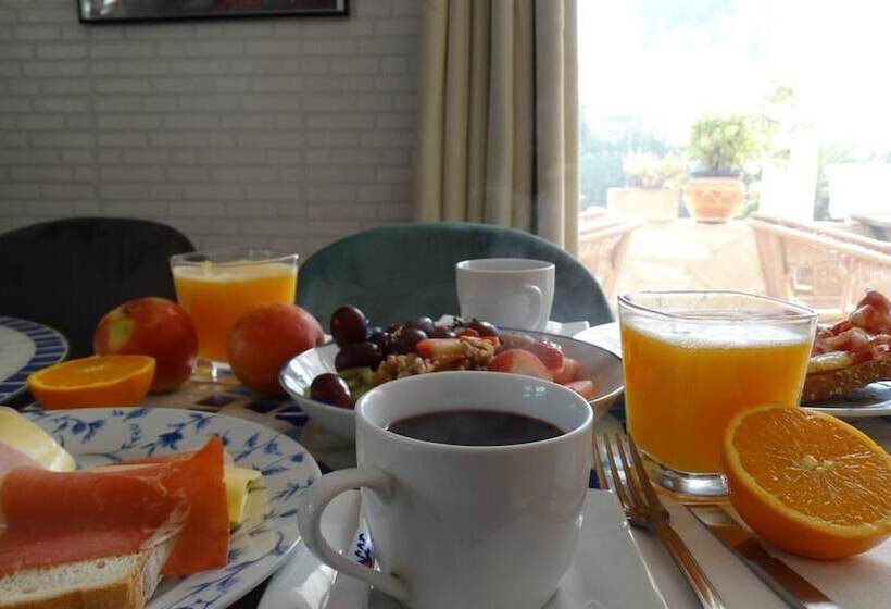 Hostal La Paloma Ii   Hotel Calpe Grupo