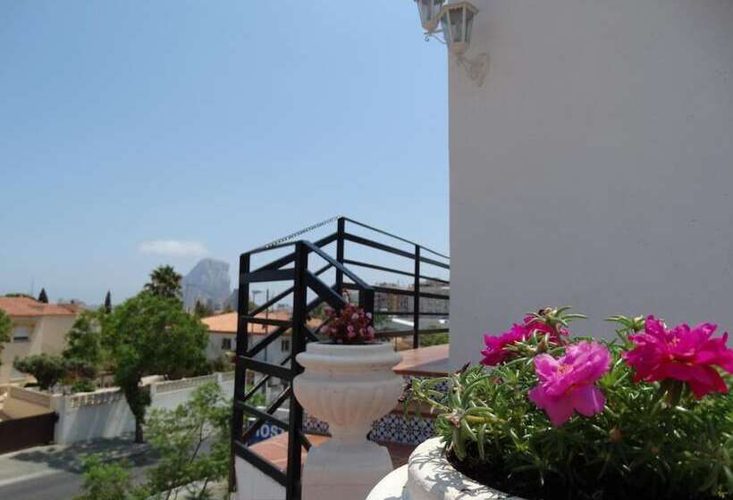 Hostal La Paloma Ii   Hotel Calpe Grupo