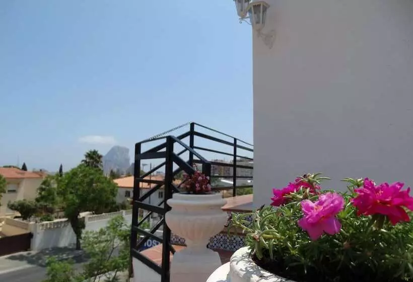 Hostal La Paloma Ii Hotel Calpe Grupo