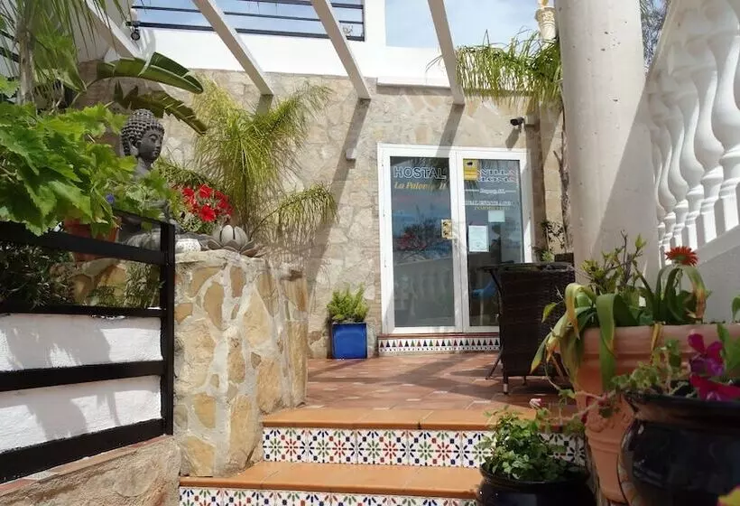 Hostal La Paloma Ii Hotel Calpe Grupo