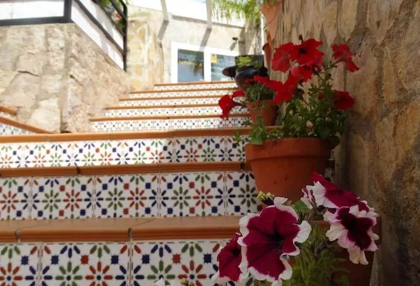 Hostal La Paloma Ii Hotel Calpe Grupo