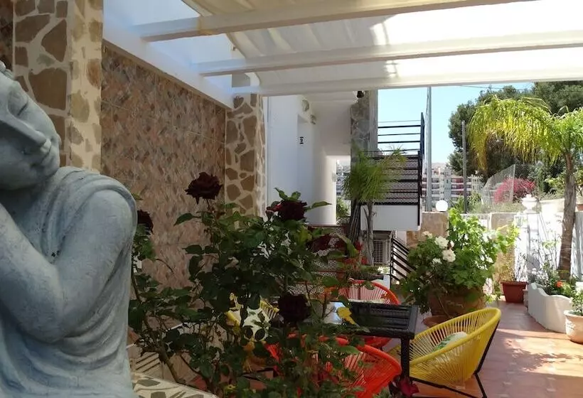 Hostal La Paloma Ii Hotel Calpe Grupo