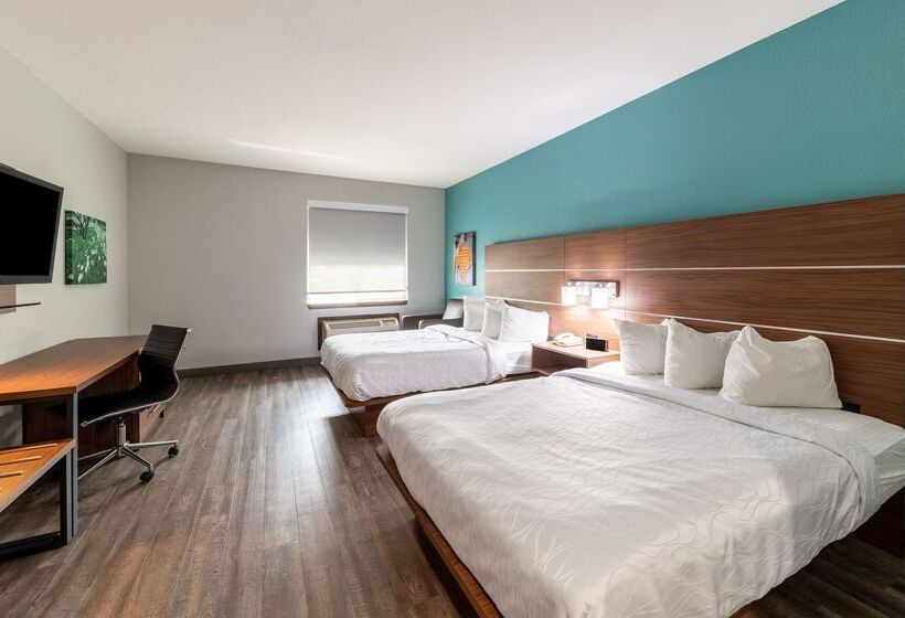 酒店 Best Western Bowie Inn & Suites