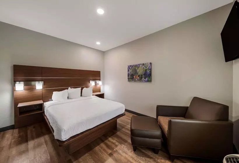 호텔 Best Western Bowie Inn & Suites
