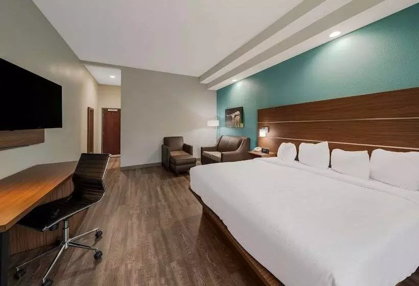 호텔 Best Western Bowie Inn & Suites