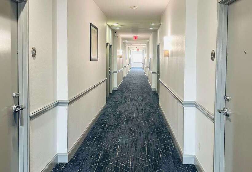 בית מלון כפרי Comfort Inn & Suites Wylie