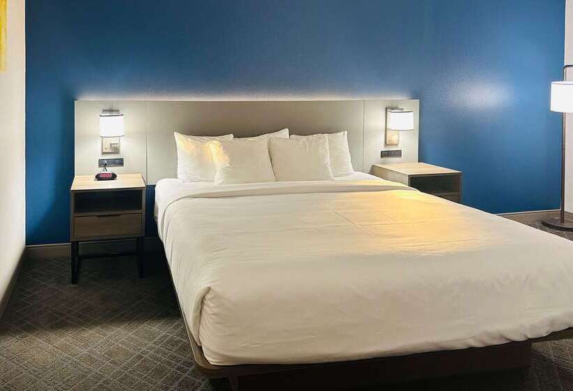 בית מלון כפרי Comfort Inn & Suites Wylie