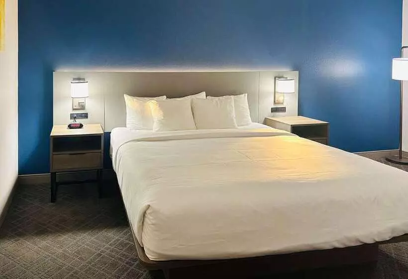 בית מלון כפרי Comfort Inn & Suites Wylie