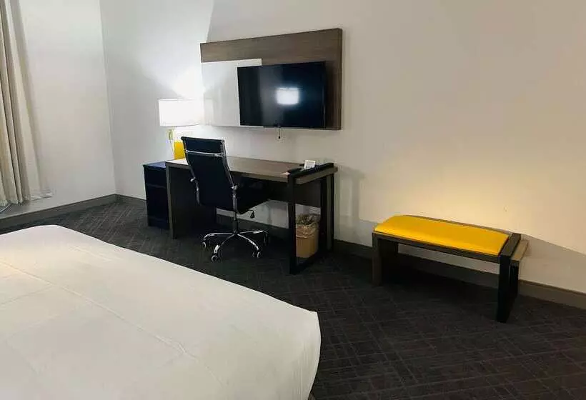 בית מלון כפרי Comfort Inn & Suites Wylie