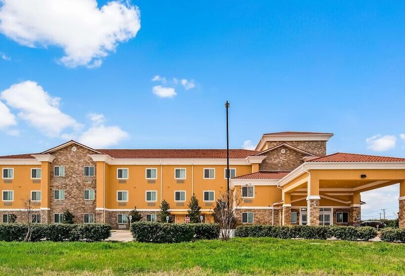 בית מלון כפרי Comfort Inn & Suites Wylie