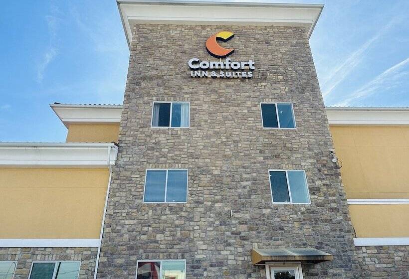 בית מלון כפרי Comfort Inn & Suites Wylie