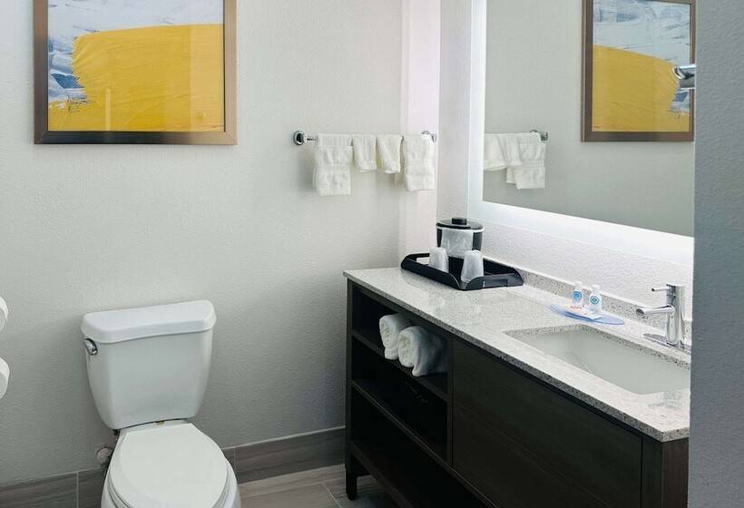 בית מלון כפרי Comfort Inn & Suites Wylie